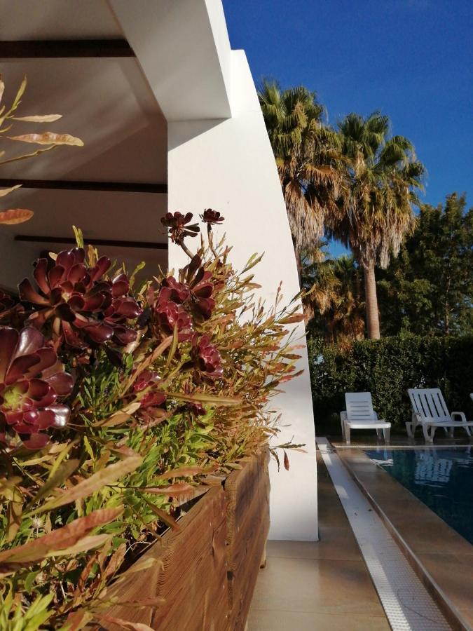 Herdade Da Diabroria - Agroturismo Beja Kültér fotó