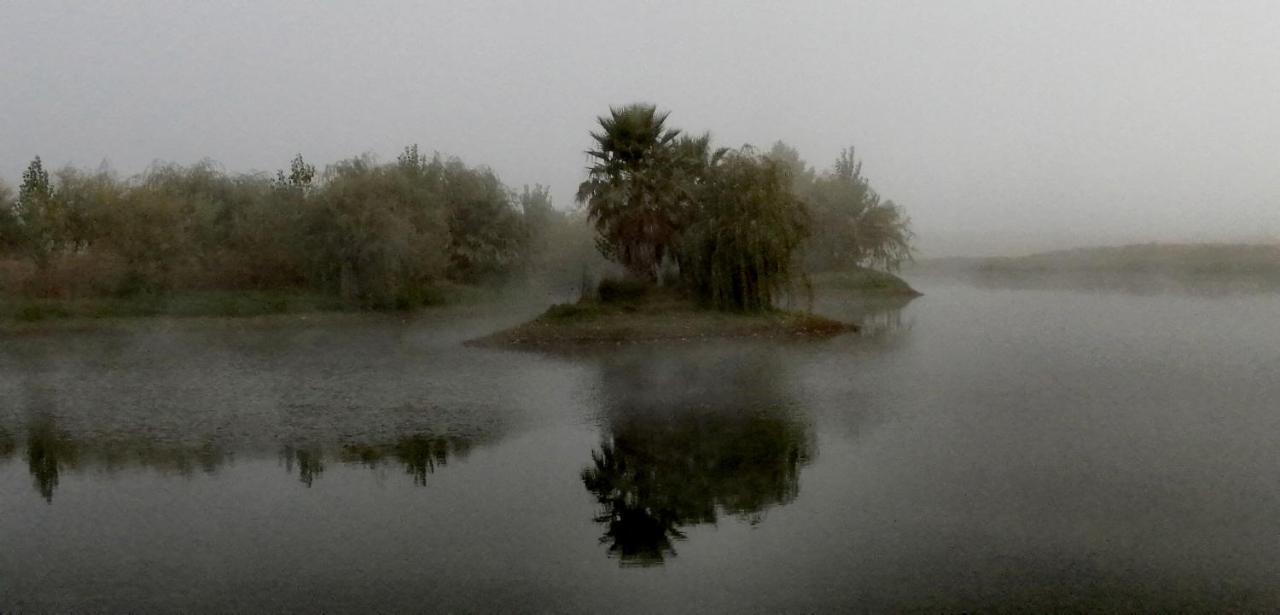 Herdade Da Diabroria - Agroturismo Beja Kültér fotó
